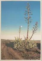 Joshua Miles, Full Moon Agave, reduction linocut on paper