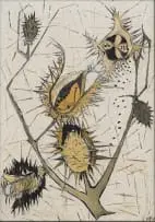 Cecily Sash, Seed Pods, oil on canvas