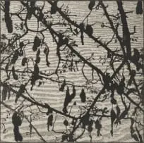 Wendy Vincent, Pods and Leaves, etching and aquatint