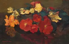 Frans Oerder, Begonias in a Vessel, oil on canvas