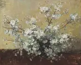 Adriaan Boshoff, White Blossoms