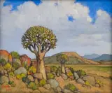 Conrad Theys, Quiver Trees, Kokerbome