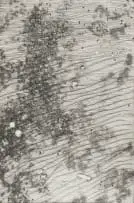 Richard Penn, Field, etching on paper