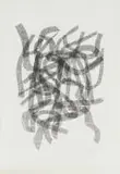 Willem Boshoff, Eenduisend en Een, screenprint on paper