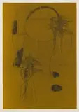 Cecily Sash, Abstract II, colour etching