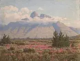 Jan Ernst Abraham Volschenk, Heather and Wild Cypresses, Garcias Pass