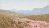 Jan Ernst Abraham Volschenk, A Heathery Valley (near Garcias Pass, Riversdale)