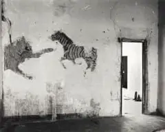 Jo Ratcliffe, Mural in an Abandoned Schoolhouse, Cauvi, A Terras Do Fim Do Mundo series, hand-printed silver gelatin print on paper