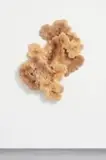 Chris Soal, An Unfolding in Time, bamboo and birch wood toothpicks, polyurethane sealant on board