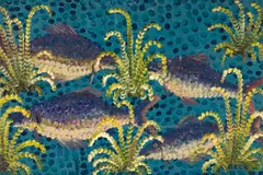 Bela Sara, School of Fish, oil on card