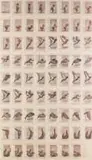 Cyclopedia of Drawing by William Kentridge, photolithograph on paper, sold Jul 2022