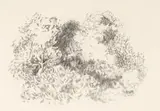 Cecil Higgs, Garden at Onrus