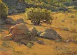 Piet van Heerden, Landscape with Rocks and Bush