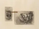 Ezrom Legae, Eye, Skull and Feathers, graphite and charcoal on sketch book paper