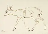 Zakkie Eloff, Baby Buck II