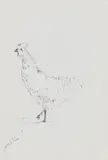 Nelson Makamo, Chicken