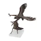 Robin Lewis, Raptor Attack, copper with verdigris patina, on a perspex base