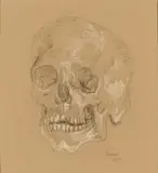Gregoire Boonzaier, Skull