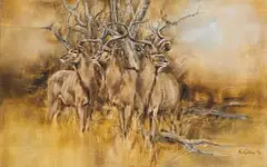 Vic Guhrs, Trio of Kudu Bulls, oil on canvas