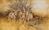 Vic Guhrs, Trio of Kudu Bulls, oil on canvas