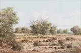 Francois Badenhorst, Bushveld, oil on canvas board