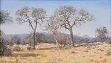 Johann Koch, Bushveld Landscape, oil on canvas