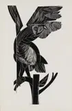 Raymond Andrews, Owl Taking Flight