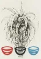 Erika Hibbert, Exile, colour etching