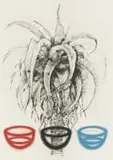 Erika Hibbert, Exile, colour etching