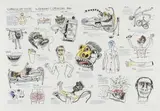 Norman Catherine, Curriculum Vitae, colour screenprint on paper