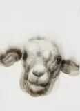 Diane Victor, Lamb II