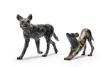 Donald Greig, Wild Dog Hunting; Wild Dog Stretching, two, bronze