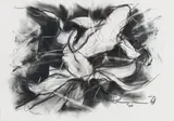 Riaan van Zyl, Gold Fish II, charcoal and pastel on paper