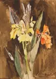 Sydney Carter, Canna Lilies