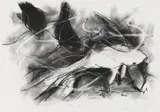 Riaan van Zyl, Gold Fish I, charcoal and pastel on paper
