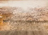 Gordon Vorster, Antelope in Desert Landscape