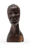 Michael Gagashe Zondi, Bust