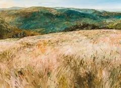 Scott Bredin, Hilton College Estate – Veld above Pinnacles, oil on canvas