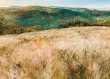 Scott Bredin, Hilton College Estate – Veld above Pinnacles, oil on canvas