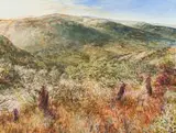 Scott Bredin, Hilton College Estate – Winter Aloes, oil on canvas