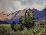 Nita Spilhaus, Fir Trees in Mountain Landscape