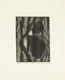 Bettie Cilliers-Barnard, no 6, etching on paper