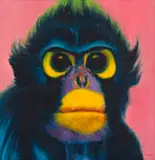 Walter Meyer, Monkey