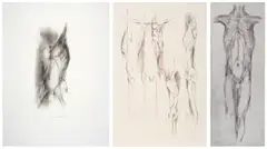 Caroline van der Merwe, Three Torso Studies, three, the first charcoal and ink on paper; the second and third: etching on paper