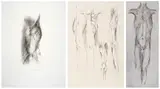 Caroline van der Merwe, Three Torso Studies, three, the first charcoal and ink on paper; the second and third: etching on paper
