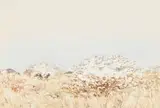 Landscape with Acacia Trees by Adolph Jentsch, watercolour on paper, sold Aug 2022