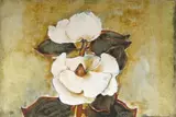 Michael Heyns, Magnolias