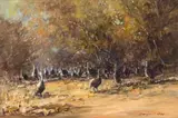 Christiaan Nice, Guinea Fowl