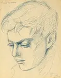 Johannes Meintjes, Raymund Van Niekerk