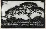 Doringboom, Potgietersrust (Nilant 62) by Jacobus Hendrik Pierneef, linocut on paper, sold Aug 2022